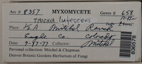 Image Associated With the Occurence